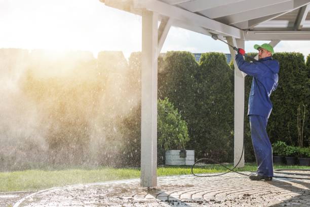 Best Pre-Holiday Cleaning  in Boonville, CA